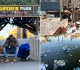 the macarthur park trash disgrace