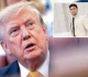 democrats mock trump s alarm bells but the dsa s communist coup is real