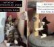 politicizing pet adoption is proof woke 2 is as insane as woke 1