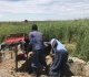 south africa s chrome riches fuel a deadly underground economy
