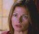 law order star jill hennessy starred in a hit show that s rarely talked about today