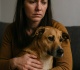minister calls for stronger protections for pets in family violence cases