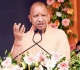 uttar pradesh launches ambitious rhino conservation program