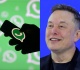 elon musk s no show in french ai probe fuels transatlantic tensions