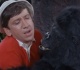 the gilligan s island actor who played the gorilla had a career portraying various animals