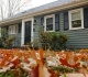 mice are about to start coming inside pest experts say to do these 6 things now