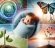 tragic loss newborns with critically low birth weight succumb at district hospital