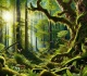 harnessing the potential of secondary forests for climate mitigation