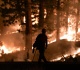 blame uncle sam for us megafires that turn money and jobs into ashes