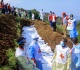 m23 accused of possible war crimes in eastern drc rights group