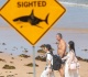 man killed in great white shark attack in western australia