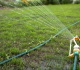 the biggest mistake people make watering their lawns in august according to lawn experts