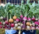 9 types of radishes that add crunch color and bite