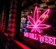 thailand moves to re criminalise cannabis in blow to 1bn industry