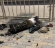 iran attacks us air base in qatar what we know so far