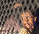 malaysia gave refuge to rohingya now it wants them to go