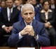 the anthony fauci covid 19 origins cover up runs deep into our intelligence community