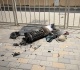 qatar says it has right to respond to iranian missile attack