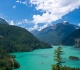 one of only 4 known contagious cancers on earth found in this lake