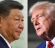 us china trade talks is a thaw on the cards after trump xi call