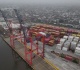 argentina grain exports halt as maritime pilots strike over milei decree