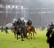 fans and police injured in pitch invasion during high risk german cup tie