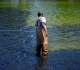 why washington s reflecting pool has gone from us blue to algae green