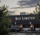 red lobster makes huge announcement 1 year after filing for bankruptcy
