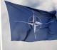 could the us withdraw from nato