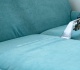 steam treatment vs cryonite freezing for chemical free bed bug control