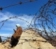 israel now faces adversaries that it cannot defeat