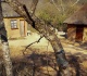 zimbabwe s climate migrants fear eviction as crackdown intensifies