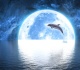 the ocean animal that mirrors your soul based on your birth month