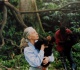 e of the day conservationist jane goodall on advocacy and doing your part