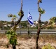israeli settlers force palestinian family to exhume and rebury their father