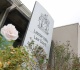 sole survivor of deadly mushroom lunch testifies at australian murder trial