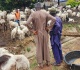 cost of living crisis reshapes eid spending in nigeria