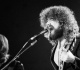 1977 classic rock hit with soaring guitars and dazzling harmonies was recorded in a basement