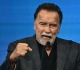 arnold schwarzenegger is the sweetest grandpa with his grandkids in new family photos
