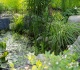how standing water in your yard breeds thousands of mosquitoes weekly