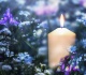 the candle scent that matches you based on birth month
