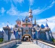 disneyland s new beignet chicken sandwich is splitting the internet